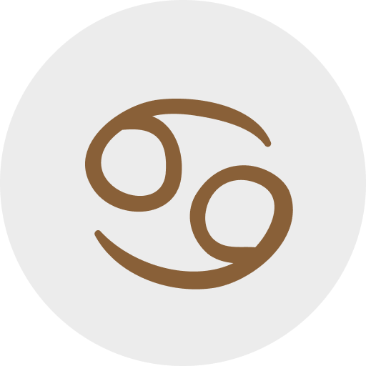 تیر